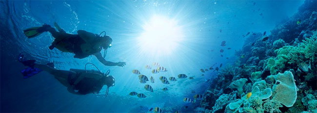 Best sandals for scuba diving on sale