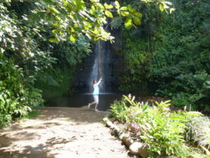 Tahiti Waterfall