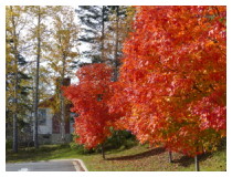 Fall Colors Cruise in New England