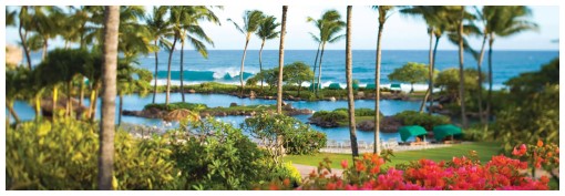 Large, lush lagoon style pool