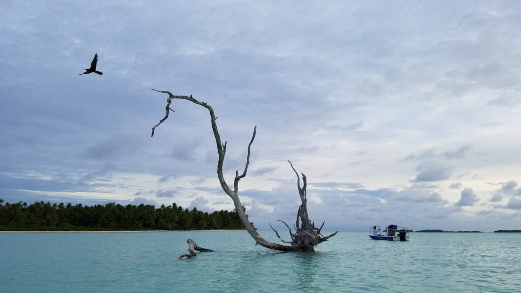 Sheila Cannon learning to fly fish at the Tetiaroa Atoll with Teihotu Brando, son of Marlon Brando, in a small boat surrounded by the crystal clear waters and a picturesque beach with wild trees.